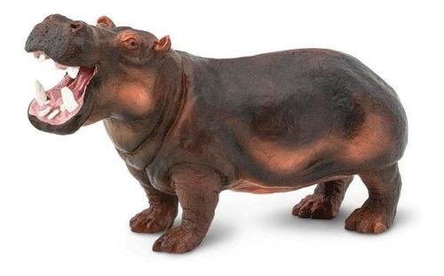 Hipopótamo Común Coleccionable