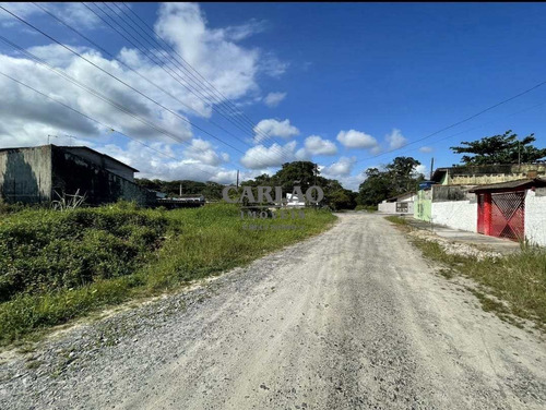 Imagem 4 de 10 de Terreno, Flórida Mirim, Mongaguá - R$ 85 Mil, Cod: 353770 - V353770