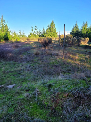Terreno Ubicado A Menos De Un Kilometro De Algarrobo Centro