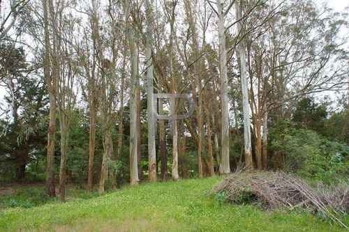 Imagen 4 de 10 de Campo En Venta Laguna Del Sauce 4 Hectáreas