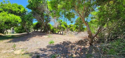 Lote En Venta En Punta Médanos
