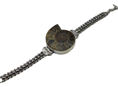 Pulsera Con Hermoso Ammonite Fósil Natural, Baño De Plata  