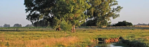 Imagen 6 de 12 de Terreno - Club De Campo Las Hojas