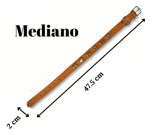 Collar Ajustable Para Perro Con Estoperoles De Huesitos