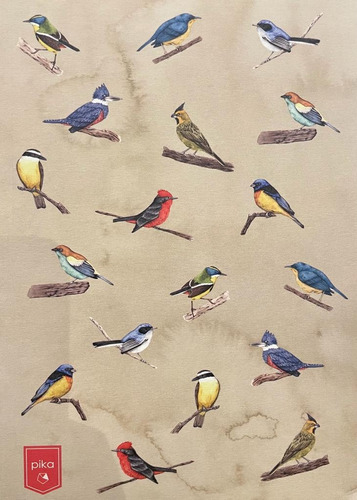 Cuaderno Aves De Uruguay - Pika