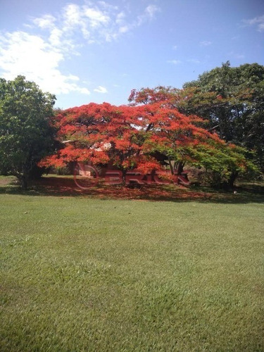 Imagem 24 de 30 de Propriedade Rural Com 200 Mil M² Em Bemposta /três Rios. - St00181 - 69239026