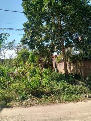 Imagem 5 de 5 de Terreno Em Itanhaém, Lado Serra 20 Metros Da Rodovia.