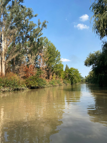 Isla Sobre El Rio Parana De Las Palmas