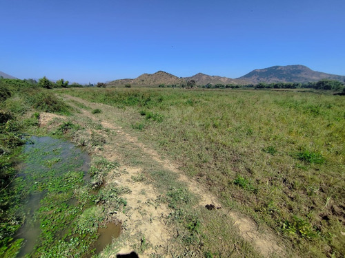 Arriendo Anual - 44 Ha Terreno Agrícola Cultivo Siembra