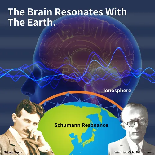 Generador De Ondas Schumann Resonancia Schumann Frecuencia 7