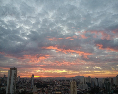Imagem 1 de 11 de Apartamento - Su 87 - 33194768