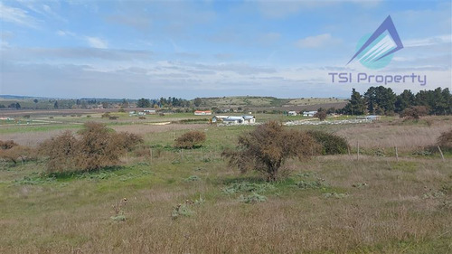 Parcela En Venta 5.000 Mt2 Con Rol Sii En Litueche