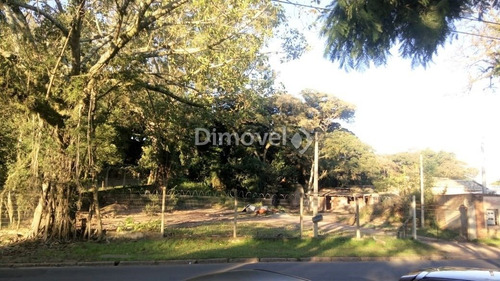 Imagem 9 de 13 de Terreno - Ipanema - Ref: 21166 - V-21166