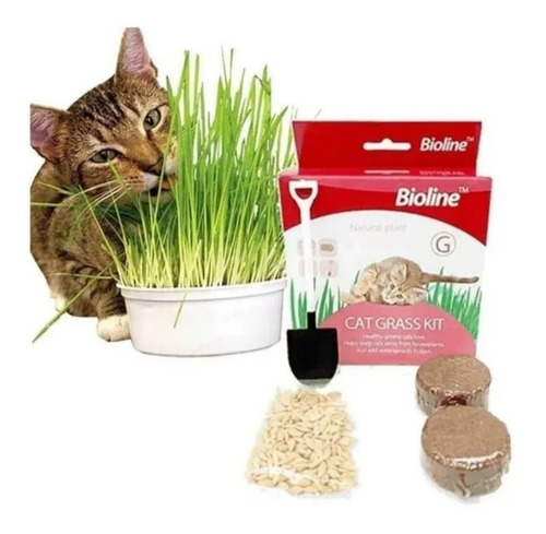 Juguete Gato Cat Grass Hierba Gatera Catnip Pasto Bioline Cs