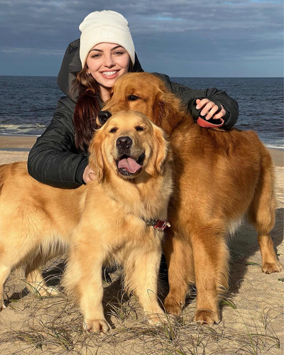 Lindos Filhotes De Golden Retriever.