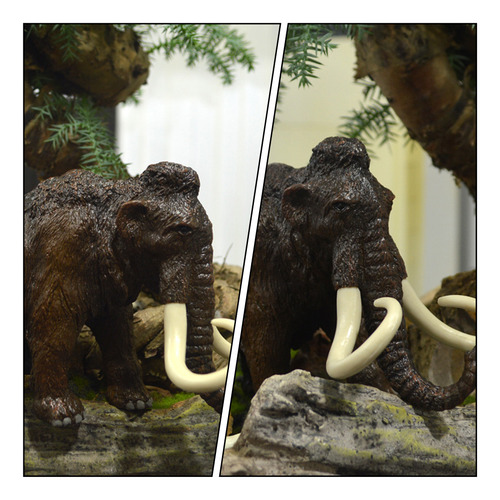 Juguete Educativo De Escritorio Con Maqueta De Animal Para N