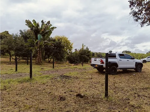 Se Venden Lotes En Quimbaya - Quindío