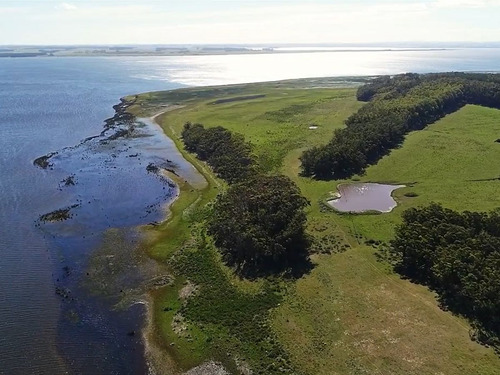 Venta Campo Sobre Laguna De Rocha 9651 (ref: Cbr-1199)