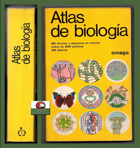 Atlas De Biología Omega Vogel Angermann