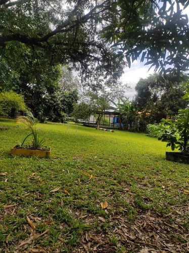 Imagem 6 de 15 de Cod.802 Sítio Em Barro Branco - Duque De Caxias - 13257