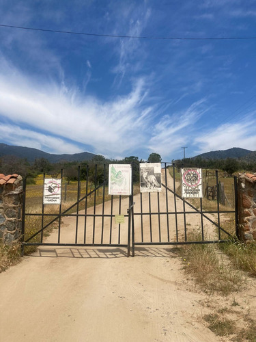 Terreno / Parcela Rural En María Pinto