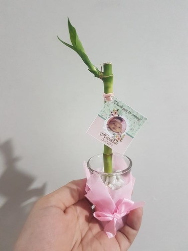 Imagen 6 de 8 de Recuerdos De Bambu Personalizados De La Suerte, Natural