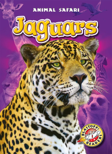 Libro:  Libro: Jaguars (blastoff! Readers: Animal Safari)