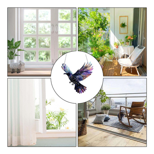 Manchado De Águila Para Pájaros En Interiores Decoración De