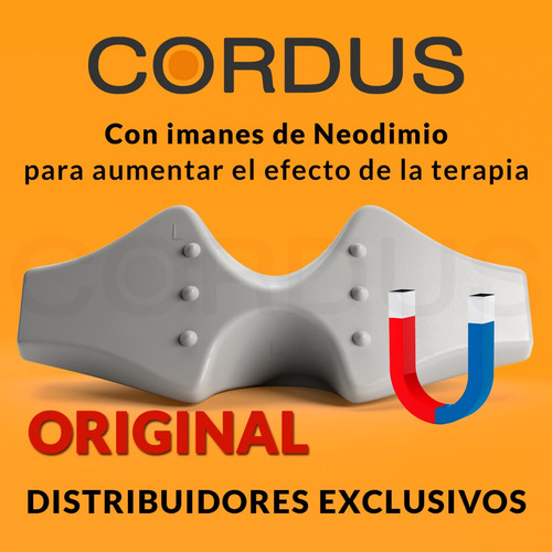 Cordus Dolor Ciático Hernias Escoliosis Lumbalgia Postura
