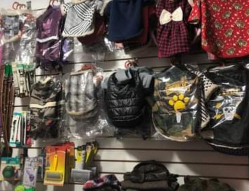 Ropa Para Mujer, Lencería, Sex Shop Y Ropa De Mascotas.