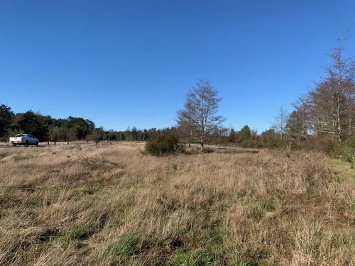 Sitio En Venta En Frutillar