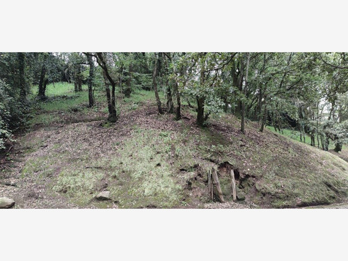 Imagen 3 de 8 de Venta Terreno 1 San Bartolo Ameyalco