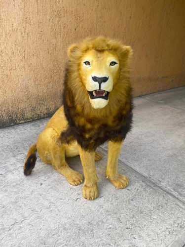 Animales Disecados 100% Artificiales. Leon Africano