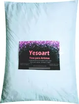 Comprar Yeso Tipo Paris Para Esculturas Y Moldes X 5 Kilos