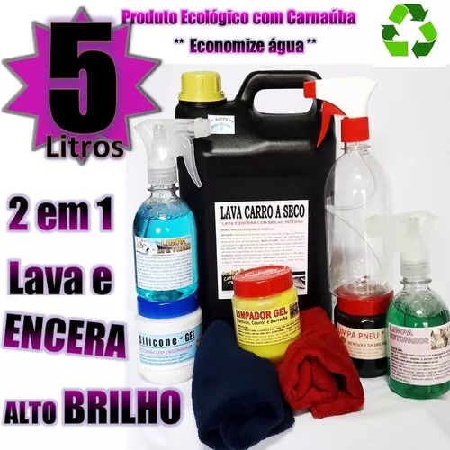 Kit Profissional Delivery Lava A Seco Estofado Automotivo