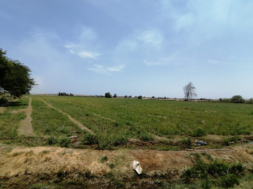 Terreno 3.60 Hectáreas En Agua Santa San Clemente De Pisco