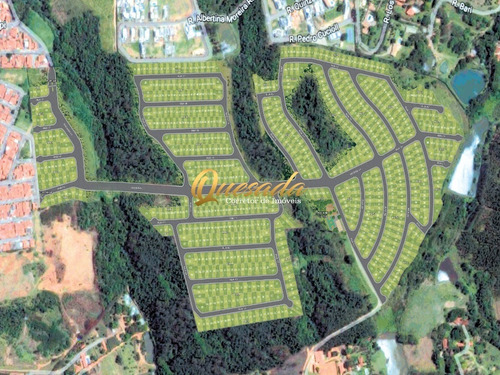 Imagem 4 de 4 de Terreno - Te00486 - 70738816