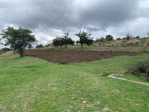 Imagen 7 de 12 de Terreno En Venta