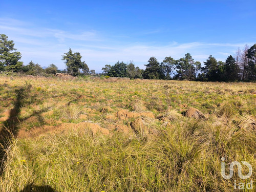 Venta Terreno 0 Ambiente La Mora