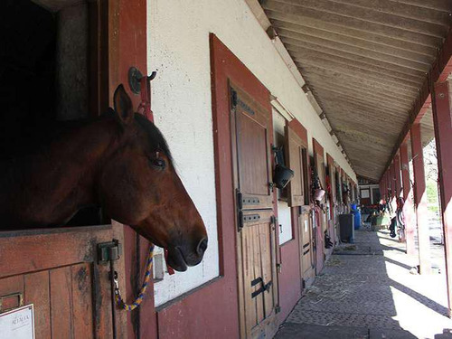 Alquiler En Barrio San Jorge Village.