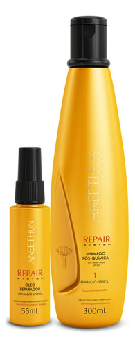 Aneethun Shampoo E Óleo Repair System