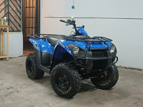 Kawasaki  Brute Force 300