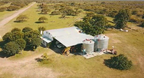 Imagen 3 de 15 de Campo Ganadero
