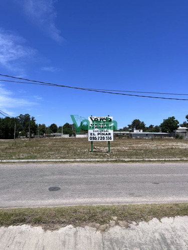Imagen 3 de 13 de Terrenos En Venta El Pinar Vista Sobre Interbalnearia. (financia)