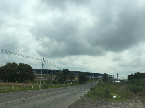 Local - Puebla