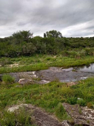 Imagen 9 de 14 de Líquido Lote En Bialet Massé