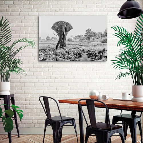 Cuadro Canvas Elefantes Animales Moderno Bastidor 90x60 Eh1