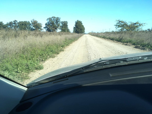Imagen 13 de 30 de Campo En Venta En Arditti | Ruta 11-km.57 (110 Has)