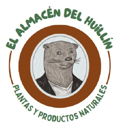 Penca / Esqueje Del Cactus Nopal - Pack De 5 - Comestible