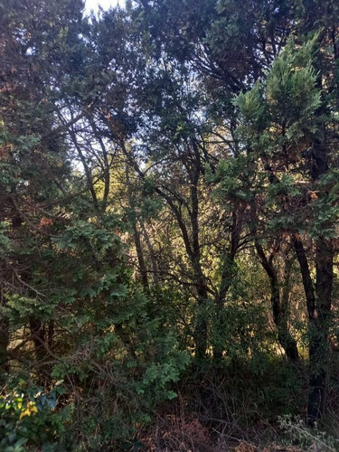 Imagen 3 de 9 de Fida Patagonia. Lote En Venta De 1326m2 Ubicado En San Martín De Los Andes